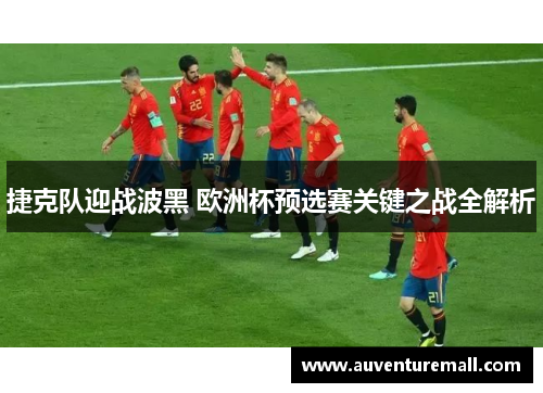 捷克队迎战波黑 欧洲杯预选赛关键之战全解析