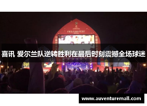 喜讯 爱尔兰队逆转胜利在最后时刻震撼全场球迷