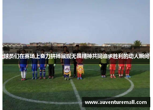 球员们在赛场上奋力拼搏展现无畏精神共同追求胜利的动人瞬间