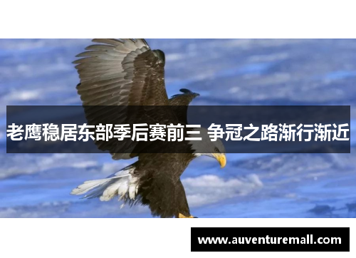 老鹰稳居东部季后赛前三 争冠之路渐行渐近