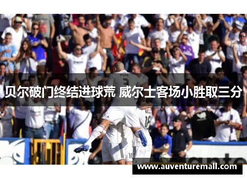 贝尔破门终结进球荒 威尔士客场小胜取三分