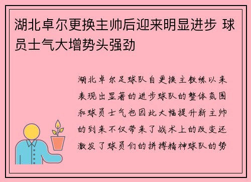 湖北卓尔更换主帅后迎来明显进步 球员士气大增势头强劲