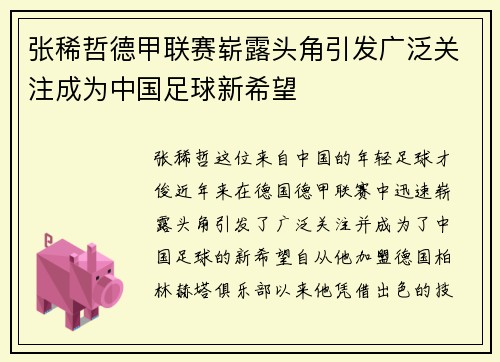 张稀哲德甲联赛崭露头角引发广泛关注成为中国足球新希望