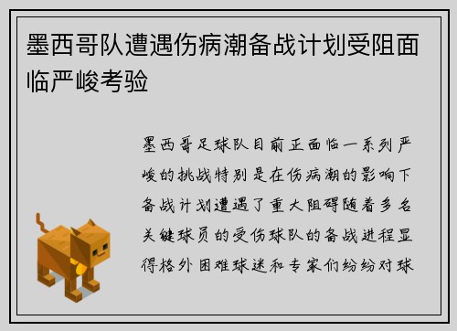 墨西哥队遭遇伤病潮备战计划受阻面临严峻考验