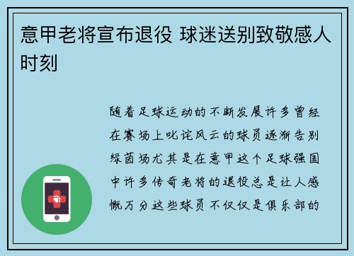 意甲老将宣布退役 球迷送别致敬感人时刻