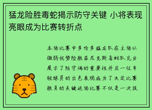 猛龙险胜毒蛇揭示防守关键 小将表现亮眼成为比赛转折点